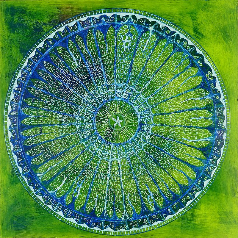spider's web diatom painting in yellowish green and blue